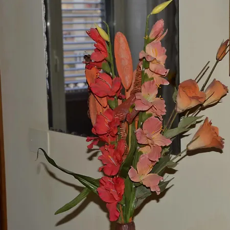 Bed & Breakfast La Casa Del Cocchiere Palermo